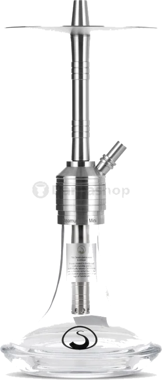 Steamulation PRO X Mini Generation 2, vue principale